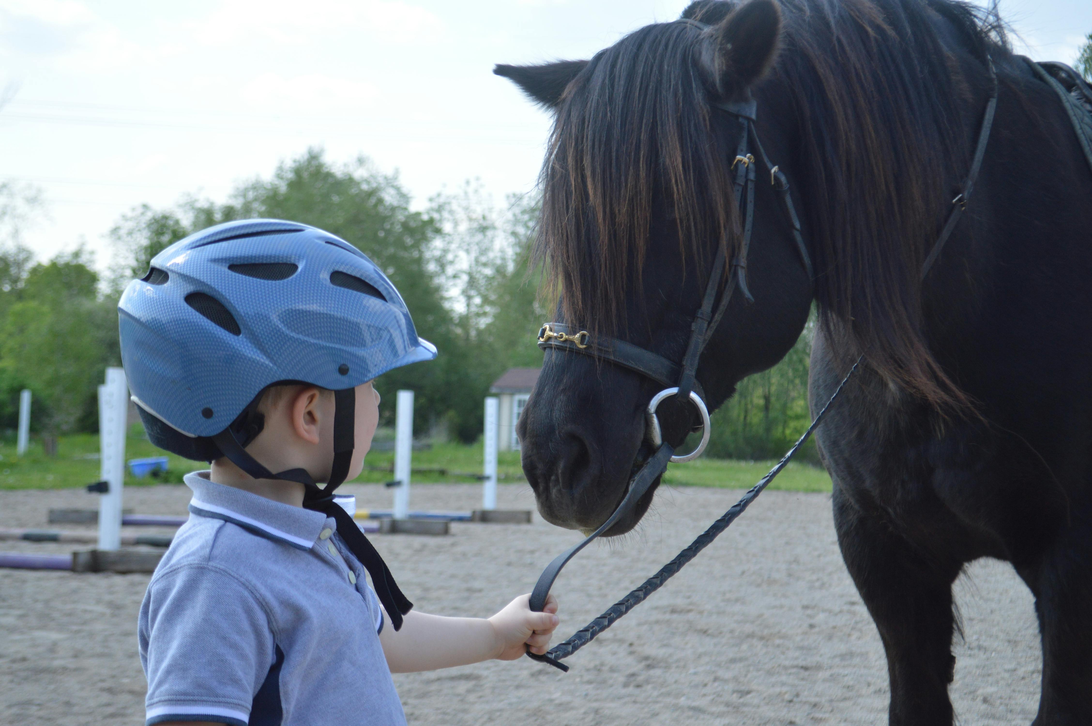Kind mit Reithelm vor einem schwarzen Pony auf dem Reitplatz