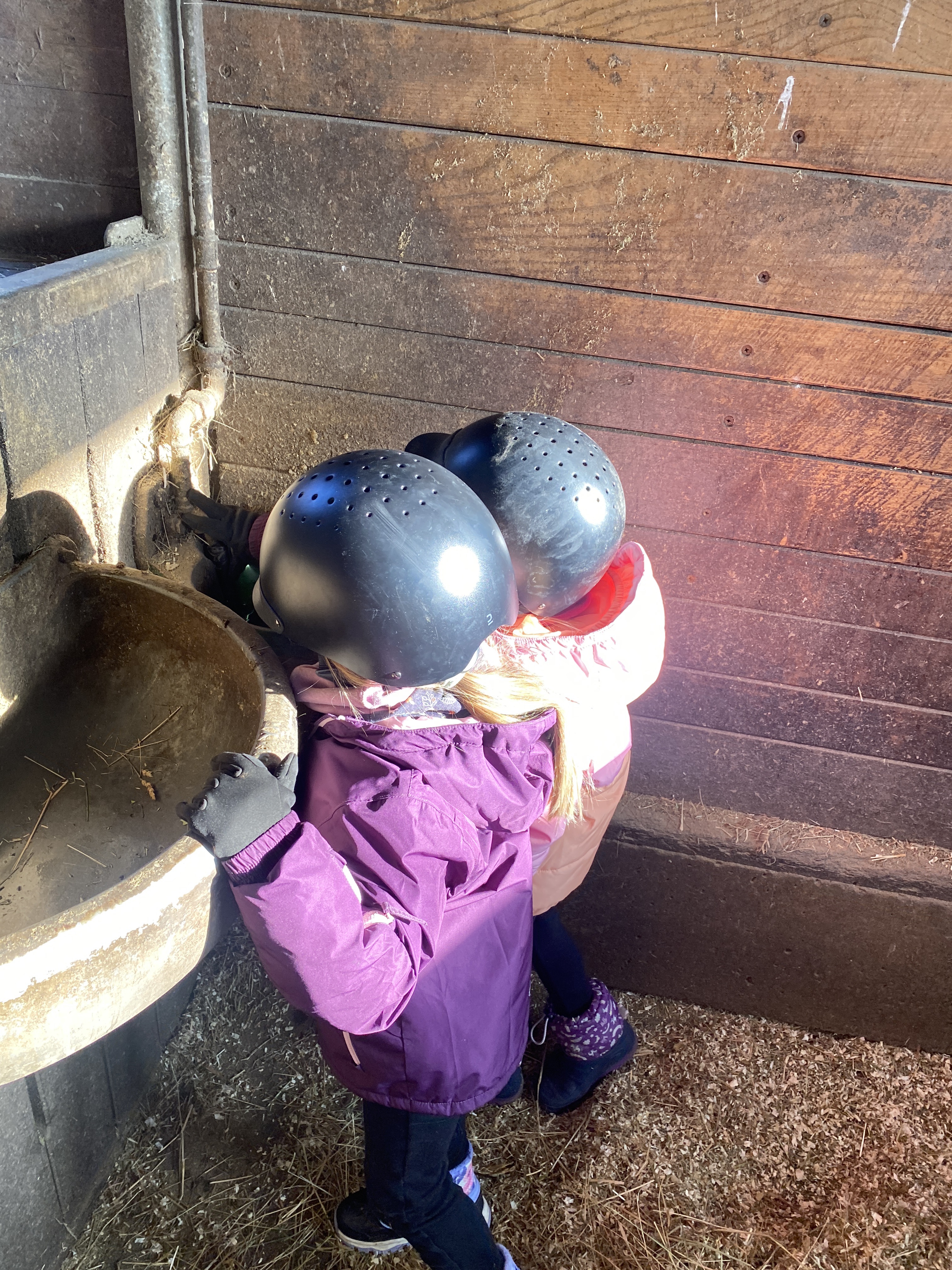 Zwei Kinder mit Reithelmen im Stall am Futtertrog